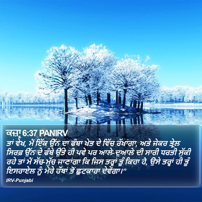 ਕਜ਼ਾૃ 6:37 PANIRV Bible Verse Image
