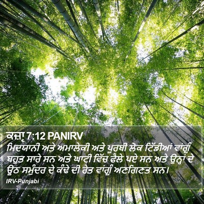 ਕਜ਼ਾૃ 7:12 PANIRV Bible Verse Image