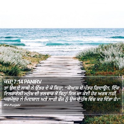 ਕਜ਼ਾૃ 7:14 PANIRV Bible Verse Image
