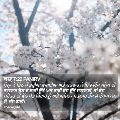 ਕਜ਼ਾૃ 7:22 PANIRV Bible Verse Image