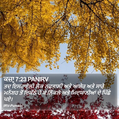 ਕਜ਼ਾૃ 7:23 PANIRV Bible Verse Image