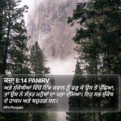 ਕਜ਼ਾૃ 8:14 PANIRV Bible Verse Image