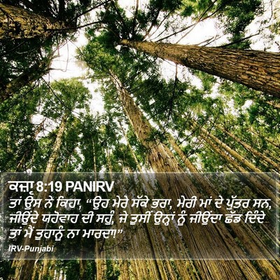 ਕਜ਼ਾૃ 8:19 PANIRV Bible Verse Image