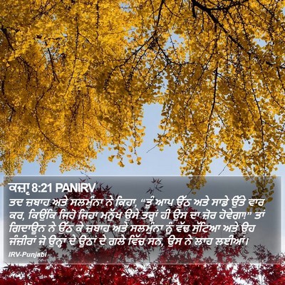 ਕਜ਼ਾૃ 8:21 PANIRV Bible Verse Image