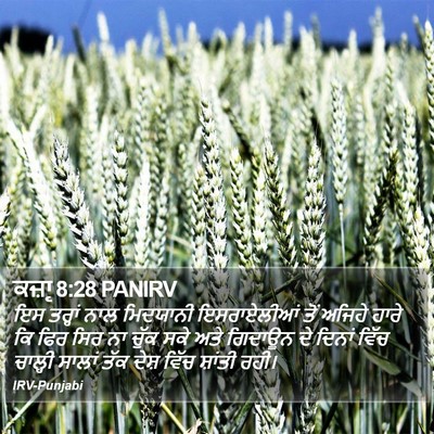 ਕਜ਼ਾૃ 8:28 PANIRV Bible Verse Image