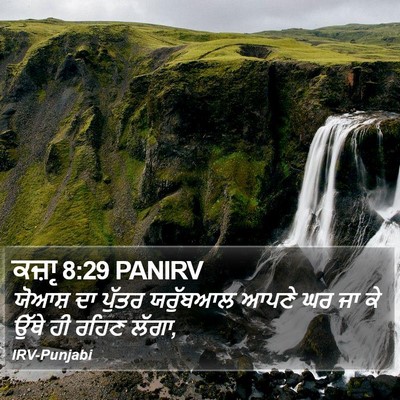 ਕਜ਼ਾૃ 8:29 PANIRV Bible Verse Image