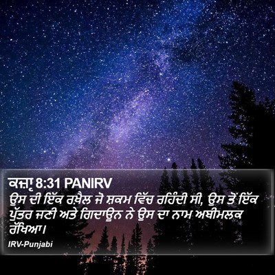 ਕਜ਼ਾૃ 8:31 PANIRV Bible Verse Image