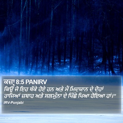 ਕਜ਼ਾૃ 8:5 PANIRV Bible Verse Image