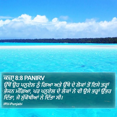 ਕਜ਼ਾૃ 8:8 PANIRV Bible Verse Image