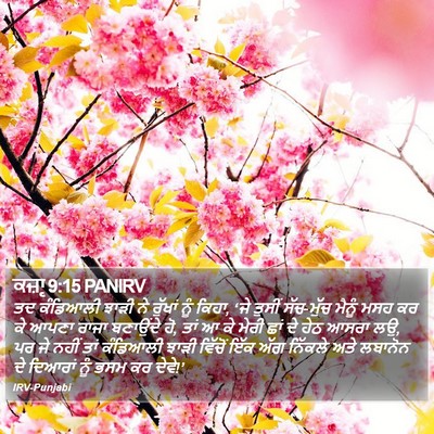 ਕਜ਼ਾૃ 9:15 PANIRV Bible Verse Image