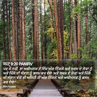 ਕਜ਼ਾૃ 9:20 PANIRV Bible Verse Image