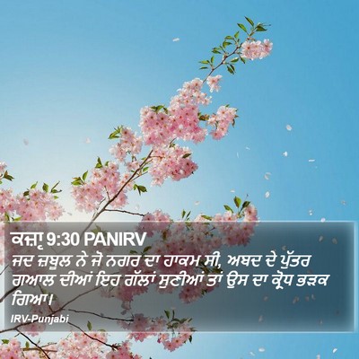 ਕਜ਼ਾૃ 9:30 PANIRV Bible Verse Image