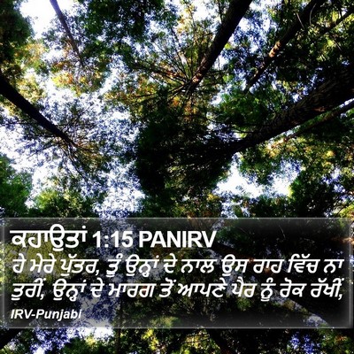 ਕਹਾਉਤਾਂ 1:15 PANIRV Bible Verse Image