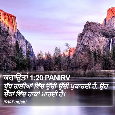 ਕਹਾਉਤਾਂ 1:20 PANIRV Bible Verse Image