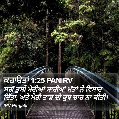 ਕਹਾਉਤਾਂ 1:25 PANIRV Bible Verse Image