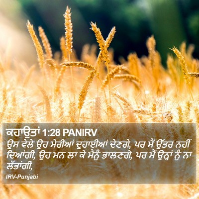 ਕਹਾਉਤਾਂ 1:28 PANIRV Bible Verse Image