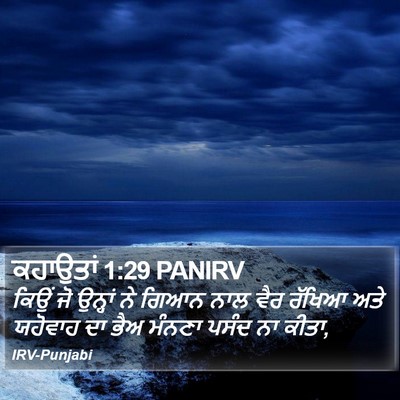 ਕਹਾਉਤਾਂ 1:29 PANIRV Bible Verse Image