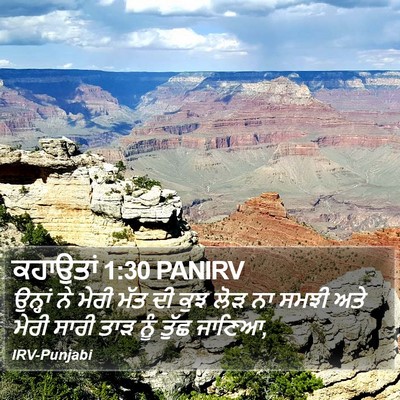 ਕਹਾਉਤਾਂ 1:30 PANIRV Bible Verse Image