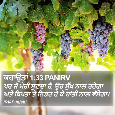 ਕਹਾਉਤਾਂ 1:33 PANIRV Bible Verse Image