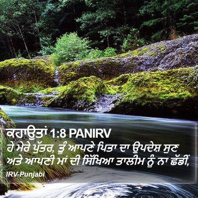 ਕਹਾਉਤਾਂ 1:8 PANIRV Bible Verse Image