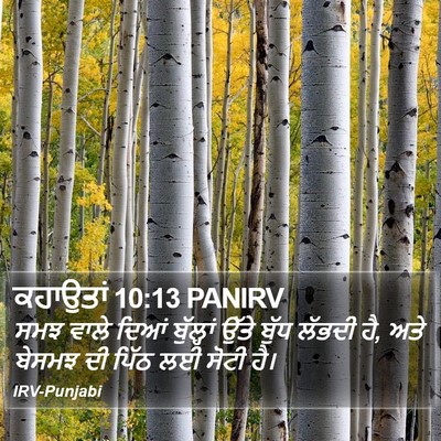 ਕਹਾਉਤਾਂ 10:13 PANIRV Bible Verse Image