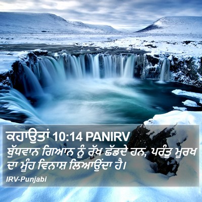 ਕਹਾਉਤਾਂ 10:14 PANIRV Bible Verse Image