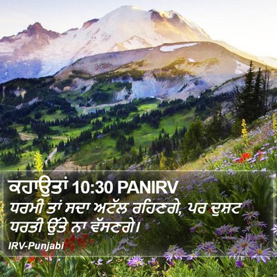 ਕਹਾਉਤਾਂ 10:30 PANIRV Bible Verse Image