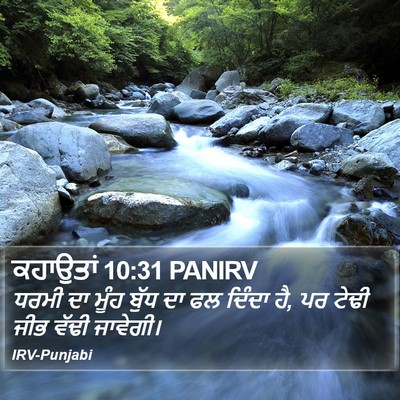 ਕਹਾਉਤਾਂ 10:31 PANIRV Bible Verse Image