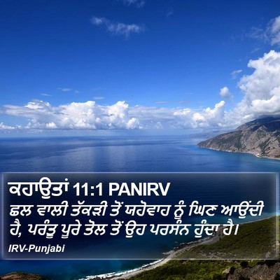 ਕਹਾਉਤਾਂ 11:1 PANIRV Bible Verse Image
