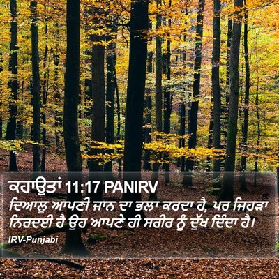 ਕਹਾਉਤਾਂ 11:17 PANIRV Bible Verse Image