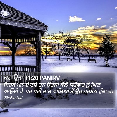 ਕਹਾਉਤਾਂ 11:20 PANIRV Bible Verse Image