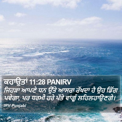 ਕਹਾਉਤਾਂ 11:28 PANIRV Bible Verse Image