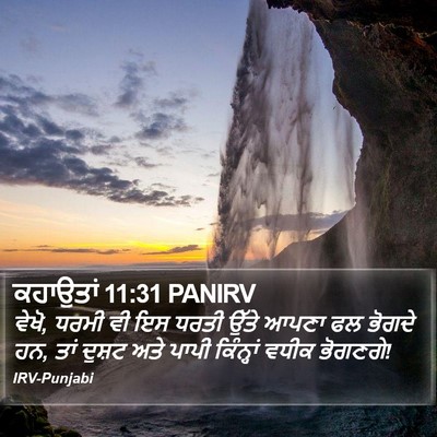 ਕਹਾਉਤਾਂ 11:31 PANIRV Bible Verse Image