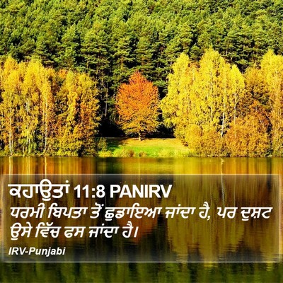 ਕਹਾਉਤਾਂ 11:8 PANIRV Bible Verse Image