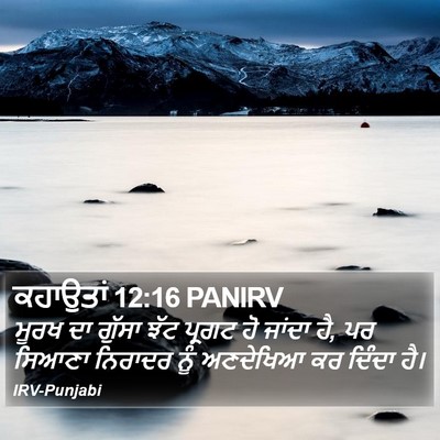 ਕਹਾਉਤਾਂ 12:16 PANIRV Bible Verse Image
