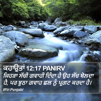 ਕਹਾਉਤਾਂ 12:17 PANIRV Bible Verse Image