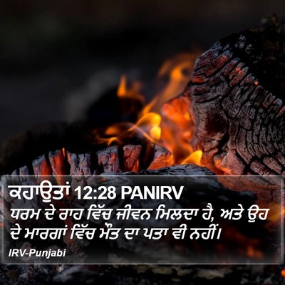 ਕਹਾਉਤਾਂ 12:28 PANIRV Bible Verse Image
