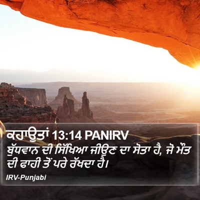 ਕਹਾਉਤਾਂ 13:14 PANIRV Bible Verse Image