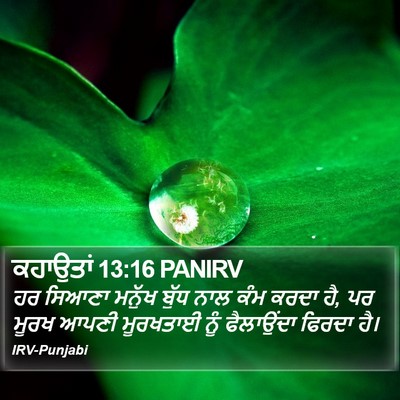 ਕਹਾਉਤਾਂ 13:16 PANIRV Bible Verse Image
