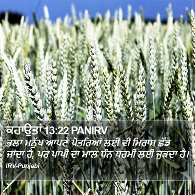 ਕਹਾਉਤਾਂ 13:22 PANIRV Bible Verse Image