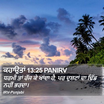 ਕਹਾਉਤਾਂ 13:25 PANIRV Bible Verse Image