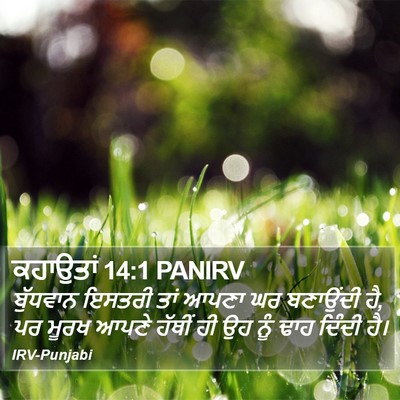 ਕਹਾਉਤਾਂ 14:1 PANIRV Bible Verse Image