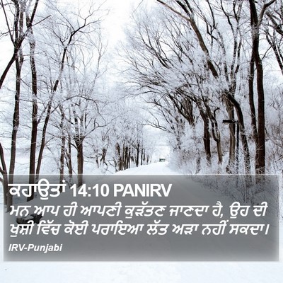 ਕਹਾਉਤਾਂ 14:10 PANIRV Bible Verse Image