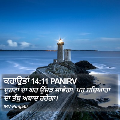 ਕਹਾਉਤਾਂ 14:11 PANIRV Bible Verse Image