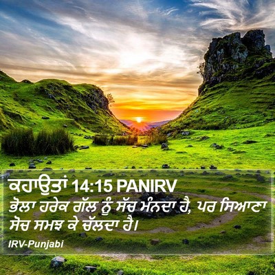 ਕਹਾਉਤਾਂ 14:15 PANIRV Bible Verse Image