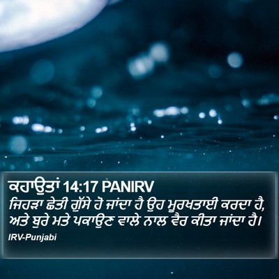 ਕਹਾਉਤਾਂ 14:17 PANIRV Bible Verse Image