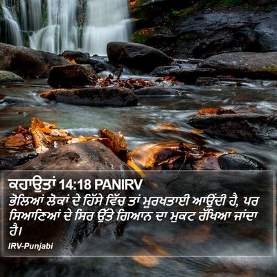 ਕਹਾਉਤਾਂ 14:18 PANIRV Bible Verse Image