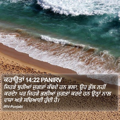 ਕਹਾਉਤਾਂ 14:22 PANIRV Bible Verse Image