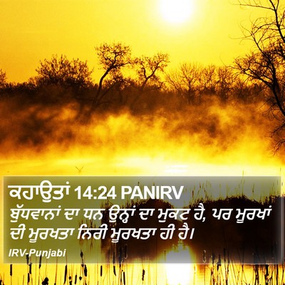 ਕਹਾਉਤਾਂ 14:24 PANIRV Bible Verse Image