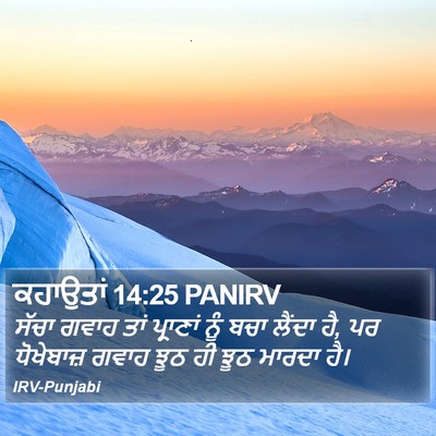 ਕਹਾਉਤਾਂ 14:25 PANIRV Bible Verse Image